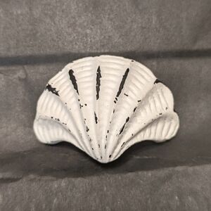 Seashell Knob